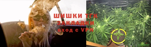 твердый Карпинск