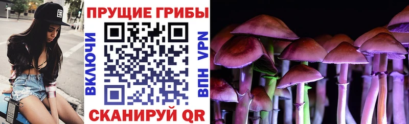 Купить где  Ивангород  Галлюциногенные грибы GOLDEN TEACHER 